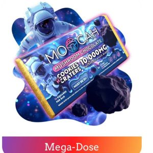 Mega-Dose Mushroom Chocolates - Cookie Craters